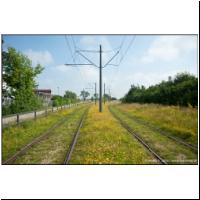 2012-07-04 23 Schwabing Nord (2).jpg